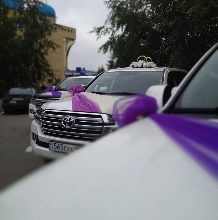 Аренда,прокат авто класса ЛЮКС.