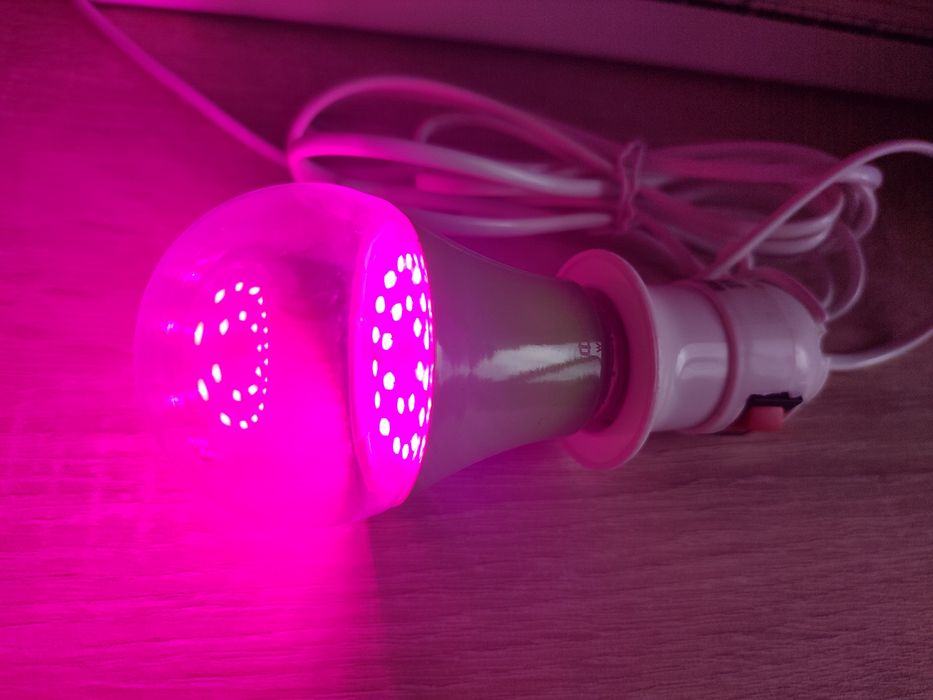 Фитолампа для растений