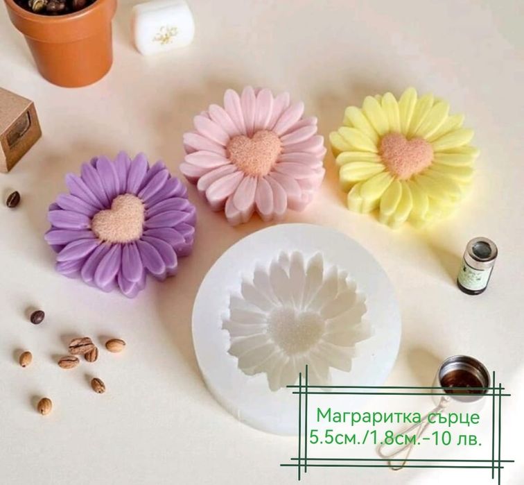 Нови модели молд