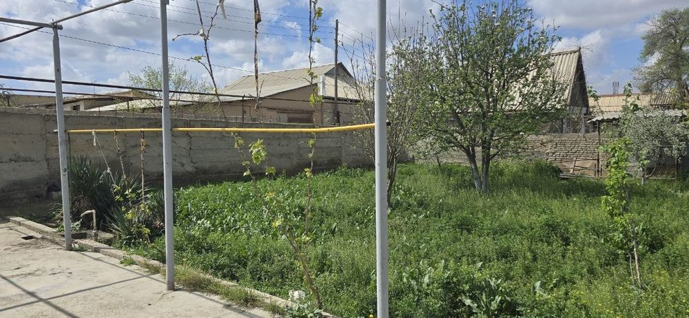 arendaga dacha Sputnik