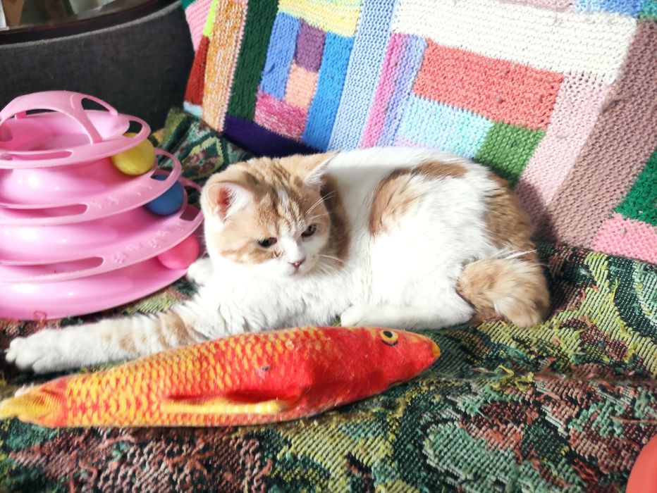 Девочка страйт 6 месяцев