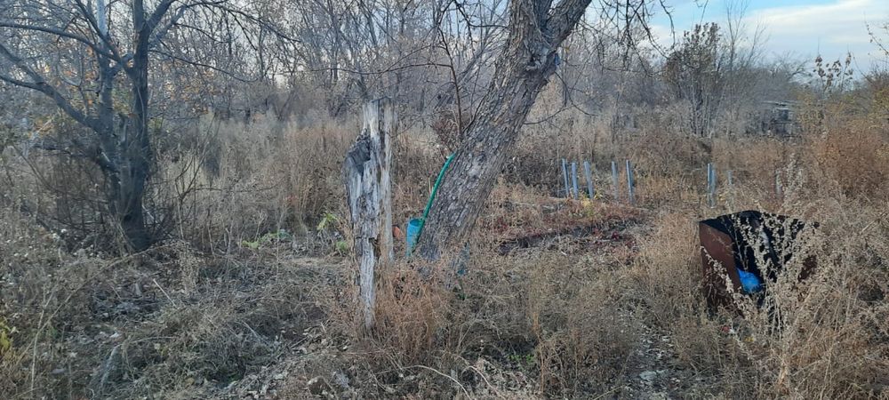 Продам дом с хоз.постройками