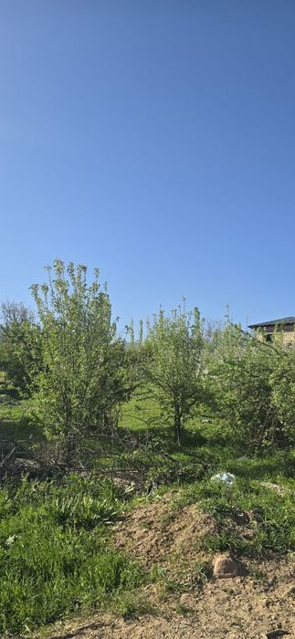 Бу́стонлик тумани Октош махаллада 12 сотик ер участкаси сотилади