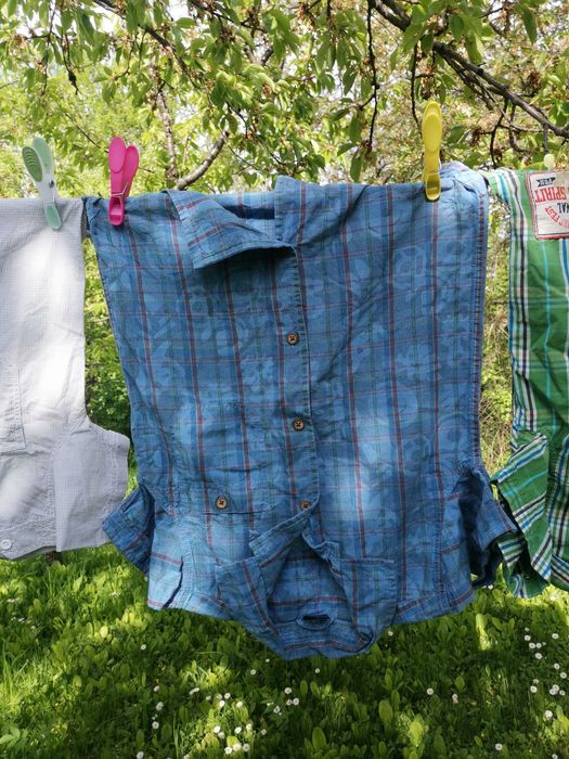 Лот Момчешки ризки къс ръкав