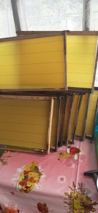 Vând 9 stupi orizontali pe 16 rame