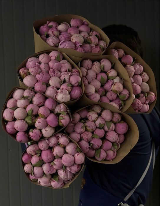 Пионы букеты цветы розы