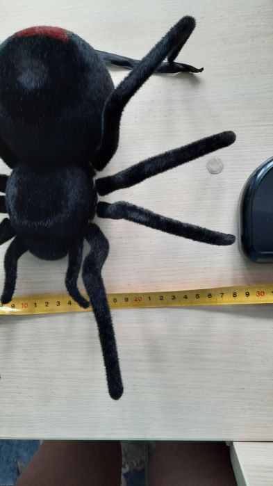 Новый.  Паук   на   пульте.