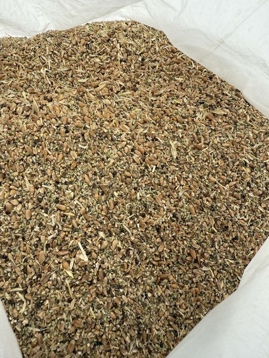 Зерноотход в мешках 40кг. От 5 тонн