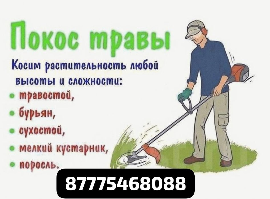 Покос травы камыш триммером
