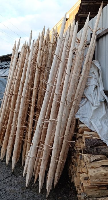 Prepelecii tradiționali