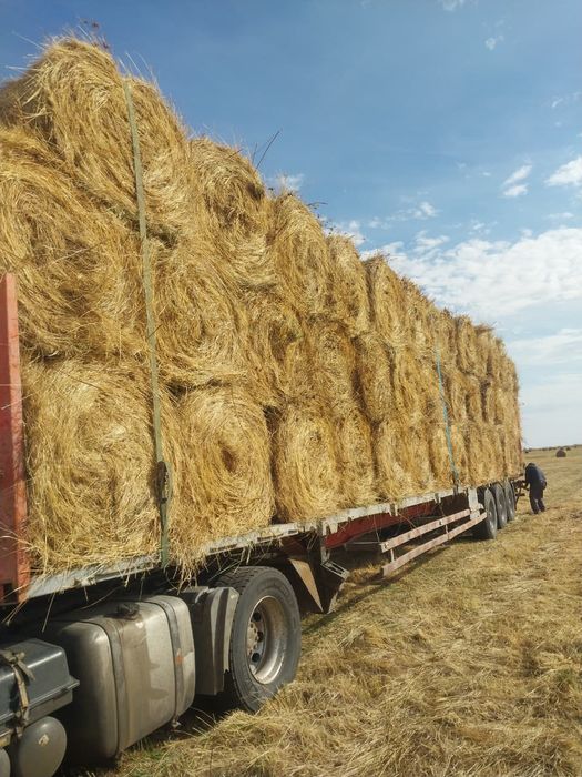 Продаётся сено луговое в рулонах с доставкой до местаu