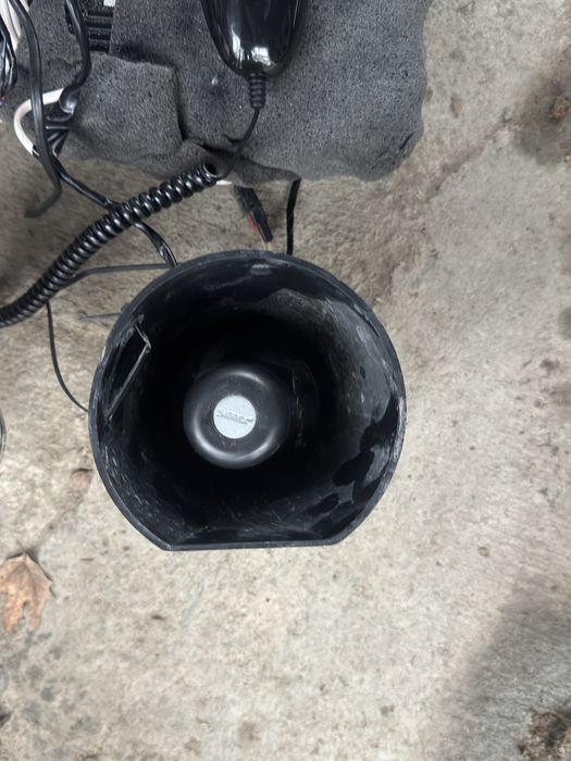 Serena elena smerch arginal