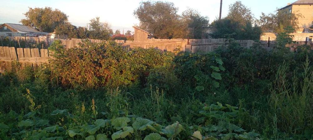 Продам Дом в Актогае