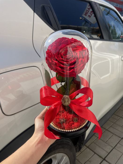 Trandafir nemuritor in cupola de sticla