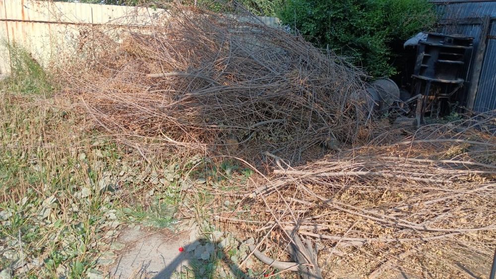 Вывоз мусора любого типа