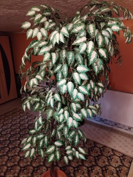 Vând arbore Ficus artificial,înalt de 2 m.
