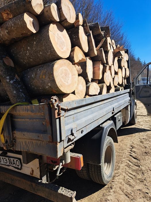 Lemne de vanzare județul salaj