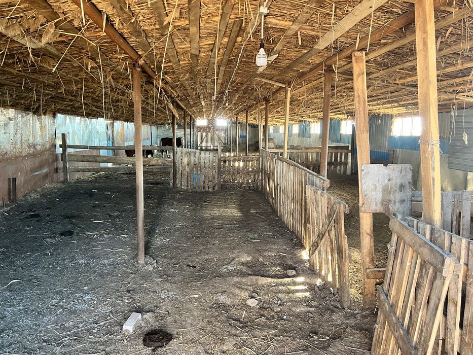 Продается крестьянское хозяйство