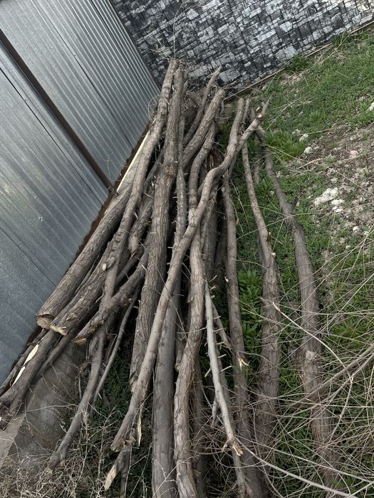 Отдам дрова и ветки бесплатно