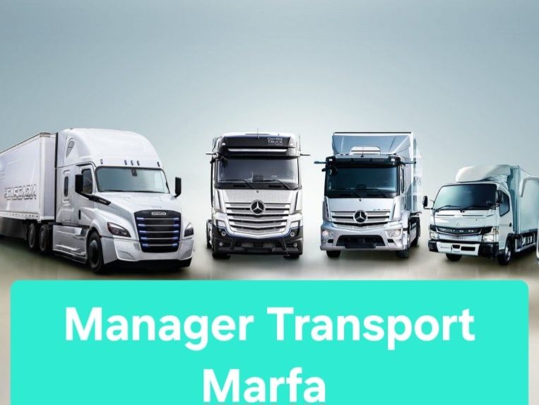 Manager transport marfă