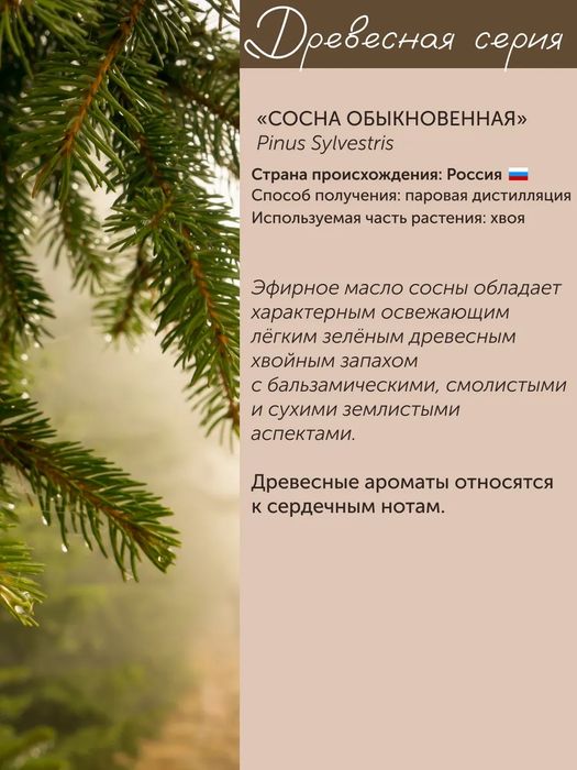 Эфирное масло сосны