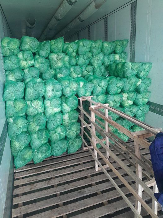 Xar xil turdagi Karamlarni yig'ib biramez katta abyobda Manzil surxand