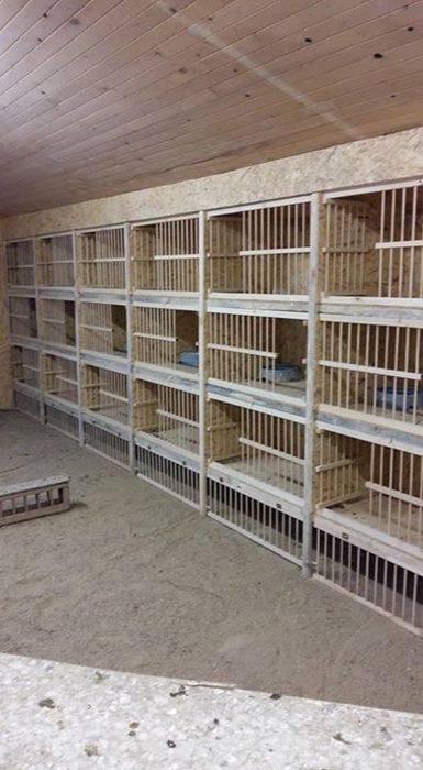 Теплые домики для голубей