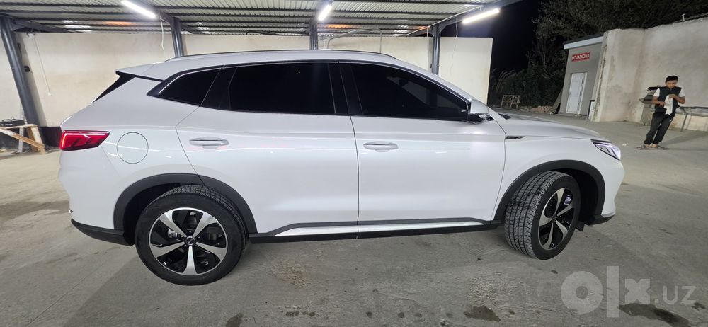 Song pilus GIBRIT BYD  2023 yil olingan 100% radnoy