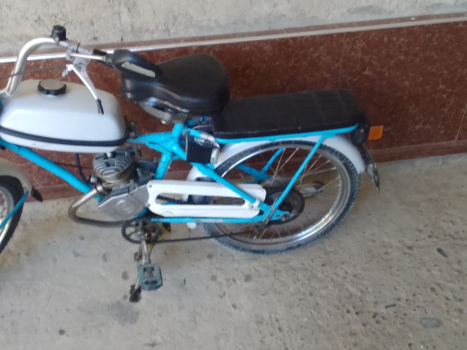 Velamaped 1990hrididiid