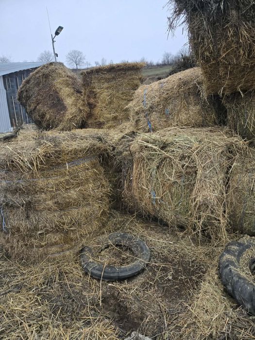 Vand baloti paie, lucerna, ciocani