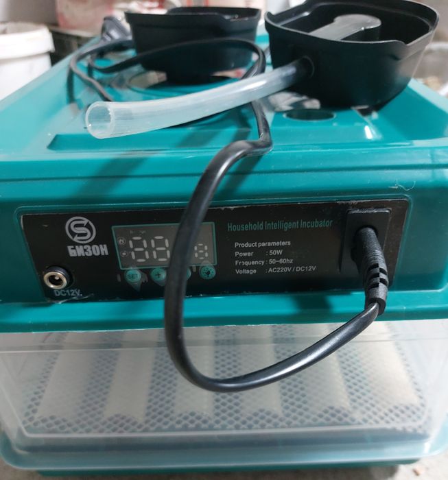 Инкубатор.                Бизон