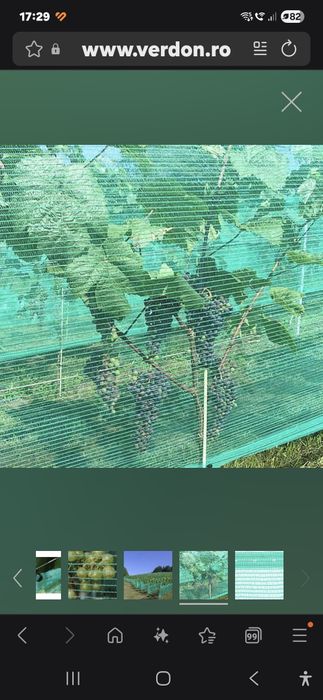 Vând plasa antipasari