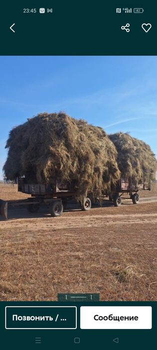 Продам сено луговое