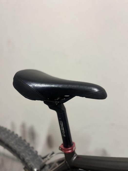 Drag C1 2018/2019