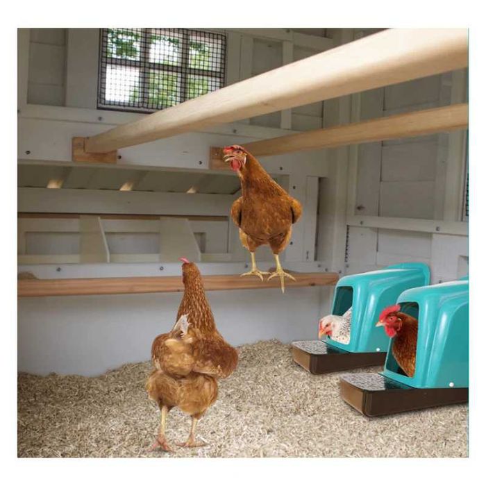 Гнездо, Полог за кокошки с колектор за яйца V3 (К-КТ ОТ 5 БРОЯ)