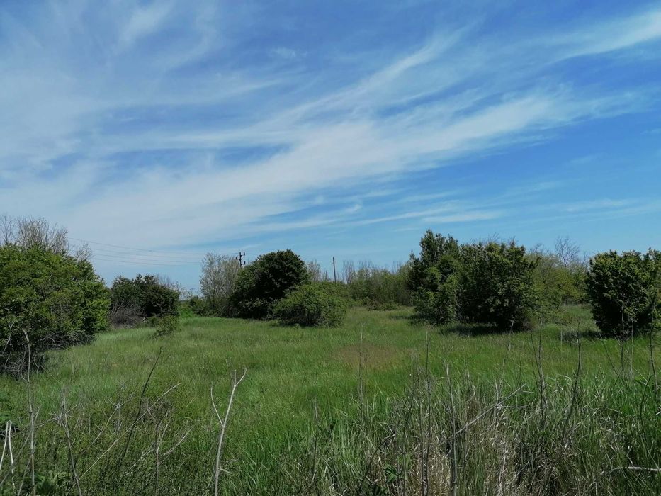 Парцел дворно място община Шабла, село Тюленово