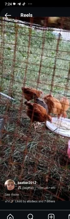 Срочно сату керек боп тұр