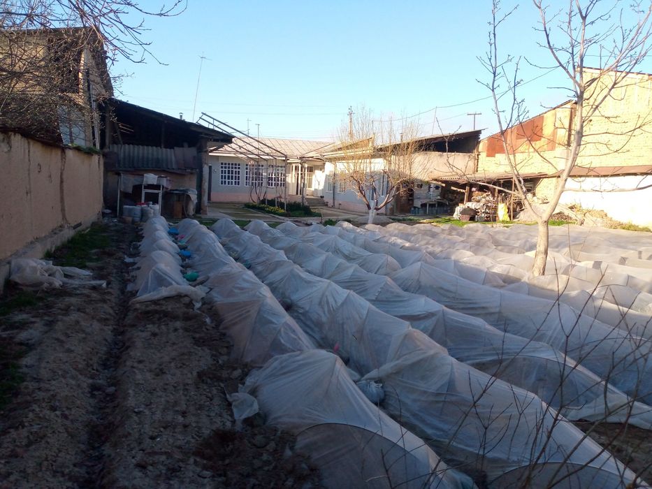 Hovli va yer sotiladi.sotugi 30000$