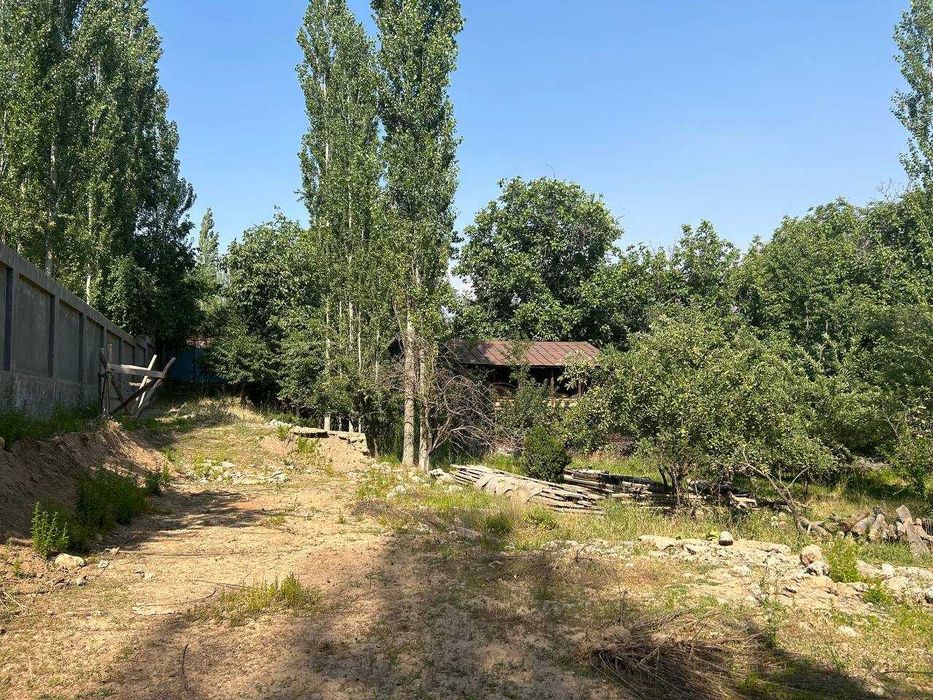 Sijjak, Chorvoq yaqinida yer uchastkasi sotiladi / Земля у Чарвака