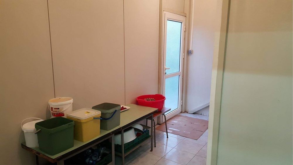 Продава се Промишлена сграда в с. Могила, Област Ямбол - 920 кв.м за 102 €/кв.м - Снимка #12