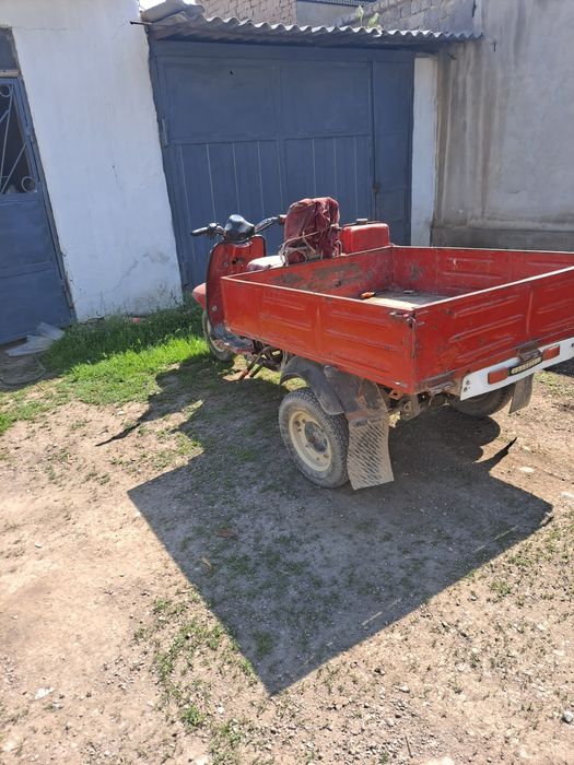 Муравей йул танламас