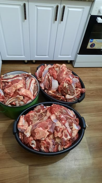 Тайынша етіп сатам.