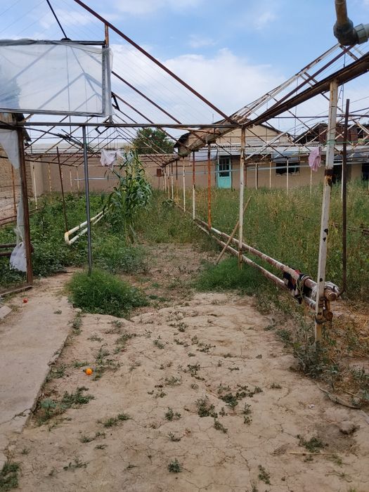 Teplisa sotiladi pul zarl kelishtrib beraman