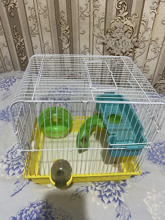 продам две клетки для хомяков б/у