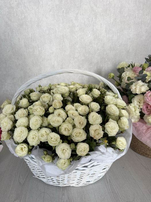 Продам цветы свежие