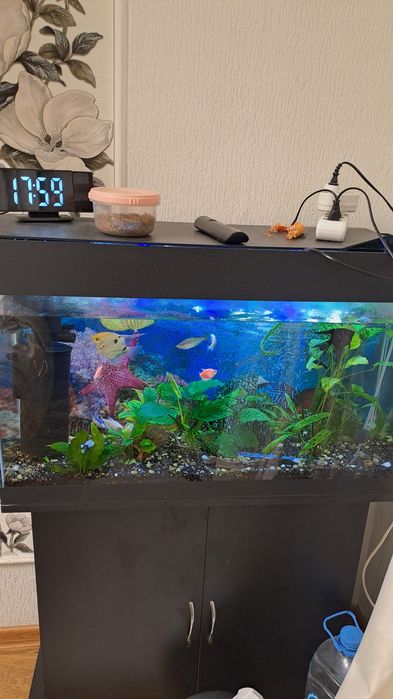 Продам аквариум с тумбой