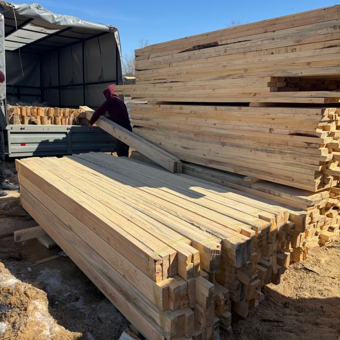 Лес агаш Сртопила балка