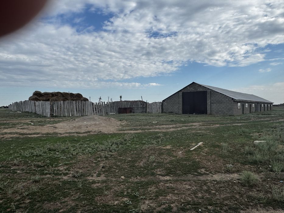 Продам КХ  дом и кашар для откорм