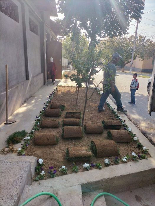 Gazon ekamiz yevro gazon