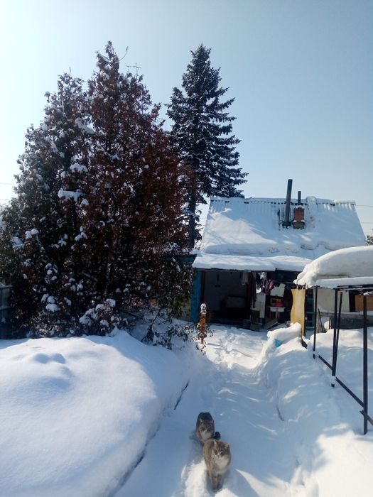 Продается дача зимнего варианта